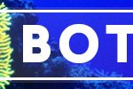 ARTICLE-BOTTOM-AD