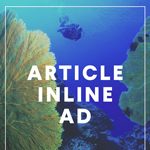ARTICLE-INLINE-AD