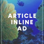 ARTICLE-INLINE-AD