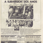 Capa 11