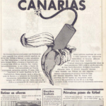 Capa 6
