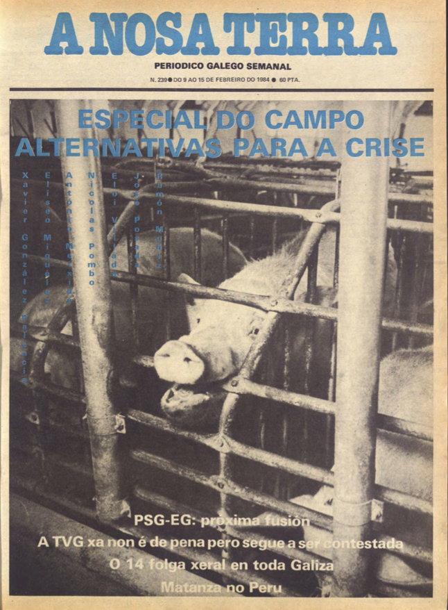 Nº 239 – 9 de febreiro de 1984